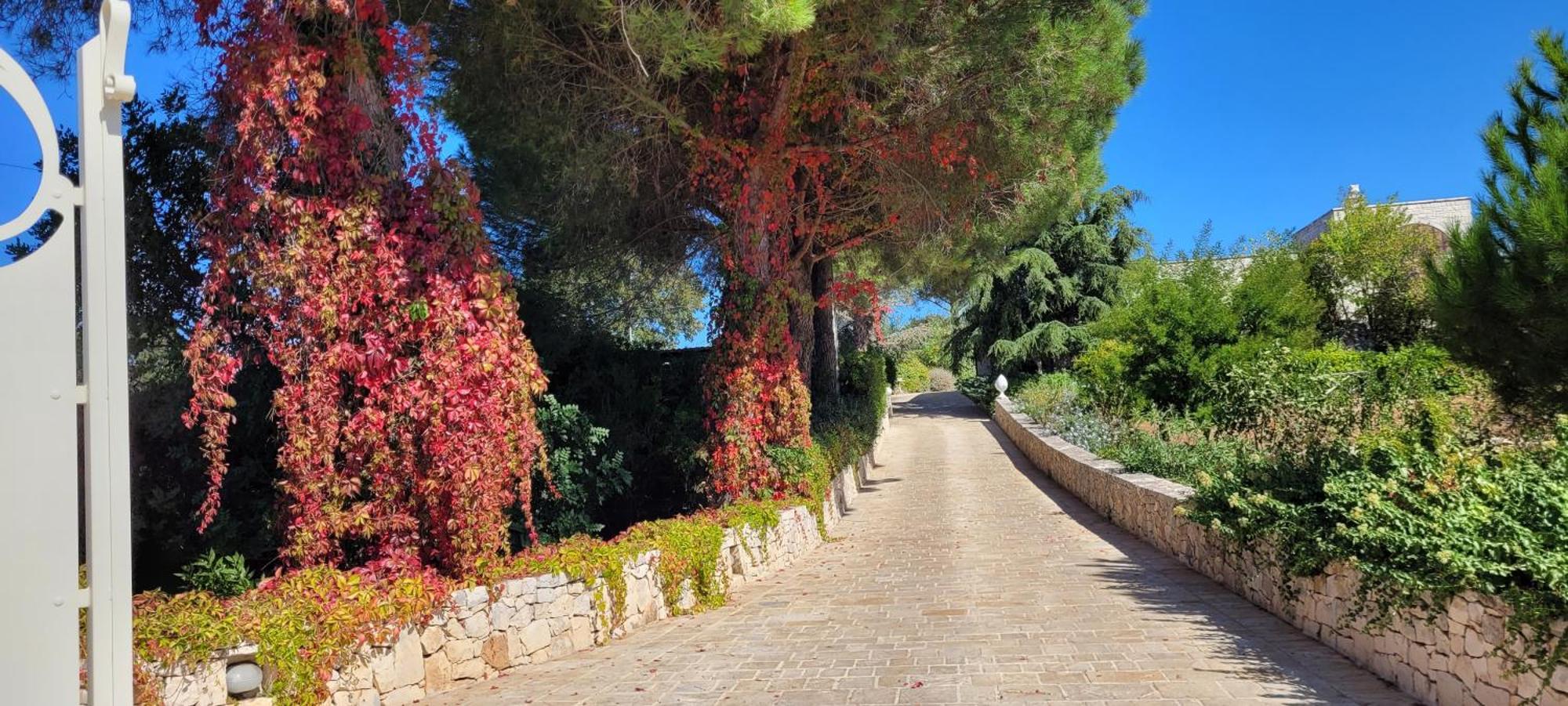 Villa Karmel Valle D'Itria Чистернино Экстерьер фото